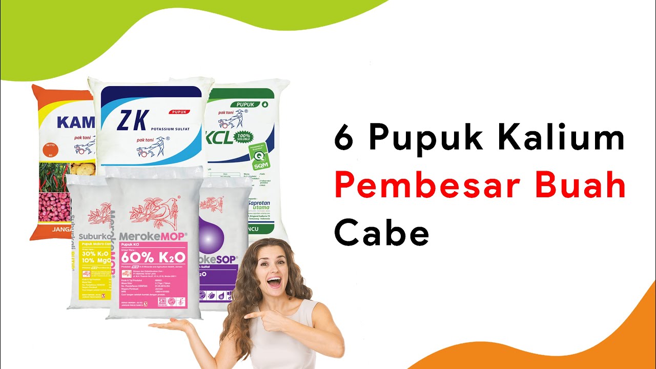 6 Pupuk Kalium Pembesar Buah Sulfat, KCl, Paten Kali, Jangan Salah Pakai