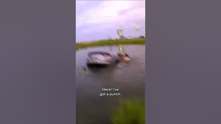 Good Samaritan, cop rescue woman that had crashed into water while experiencing seizure