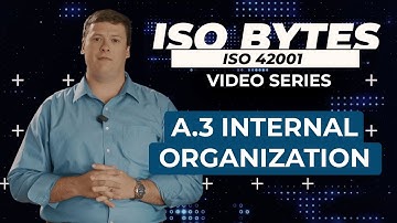 Annex 3: Structuring AI Roles in ISO 42001