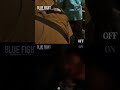 宮迫博之が強盗に襲われるシーンがヤバイwww #shorts #映画 #bluefight