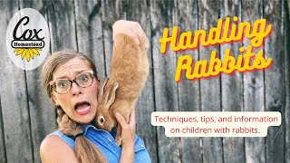 Handling Rabbits Techniques Tips And Information On Children Handling Rabbits