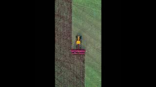 Word a Day: Sullow #dailyword #newlanguage