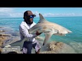 What Type of SHARK Did We Catch? Monster Mike Fishing