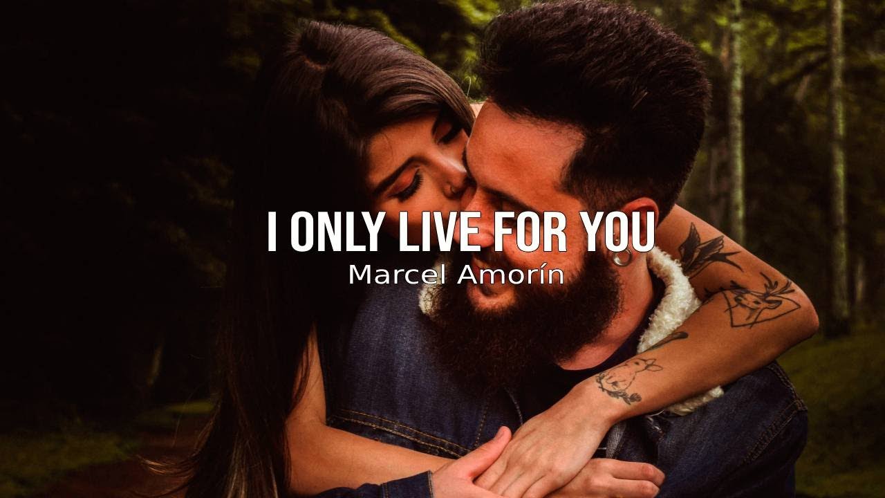 I Love You My Love ❤️ Love Messages to Dedicate and Fall in Love