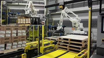 101248 BluePrint Automation (BPA) De-Palletizing