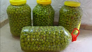 👉 KIŞLIK EN İYİ SALAMURA YEŞİL ZEYTİN NASIL KURULUR 👉 YILLARCA BOZULMAZ ERİMEZ YUMUŞAMAZ #trending 