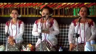 ANTASENA PALAKRAMA 01 - Wayang Kulit Gagrag Banyumasan Oleh Ki Dalang Eko Suwaryo #kiekosuwaryo