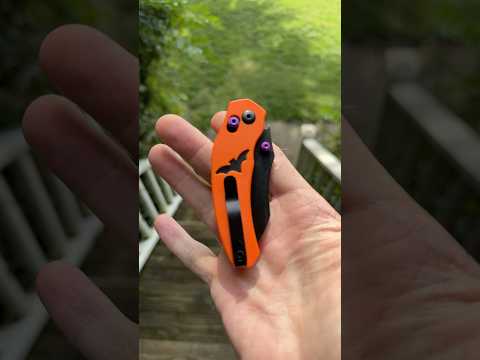 Kizer Mini Bulldog. Boo!    