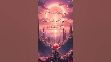 The Science Behind Connecting With Your Soul & The Universe