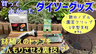 ガーデニングお役立ち特集｜買ってよかったダイソーグッズ【100均】｜ウイルス病消毒液ビストロン-10｜鉢植えをこんもりさせる裏技｜スーパートレニア｜ポーチュラカ｜ひまわり｜ガーデニング