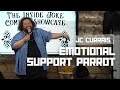 Get That Parrot Off The Plane | JC Currais Stand Up