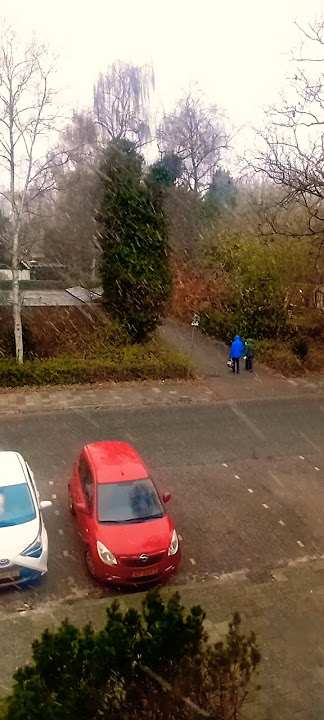 snow fall #groningen #netherlands #viralshort