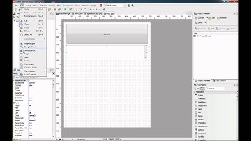 Delphi for PHP early preview - overview