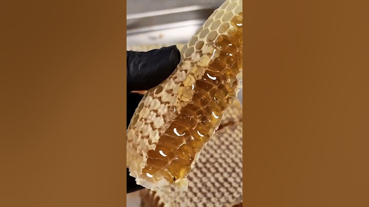Pencas de miel | Aumentar ganancias monetarias | APICULTURA