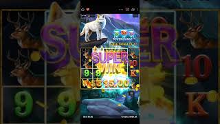 Wolf Call Super Win on a $5 Bonus screenshot 5