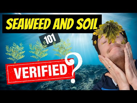 Video: Seaweed Garden Nutrients - Tips voor het composteren van zeewier als bodemverbeteraar