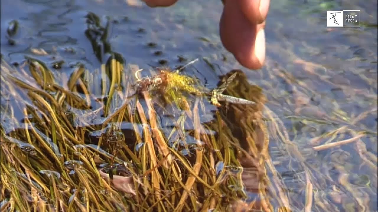 De pesca:  truchas del secano.