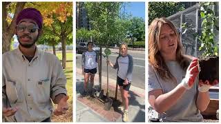 California Climate Action Corps