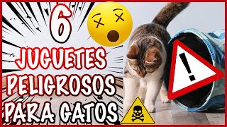 LOS 6 JUGUETES MÁS PELIGROSOS PARA GATOS - SiamCatChannel