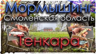 Мормышинг. Смоленская область. Sub Zero/Tele Ten 150/Тенкара.