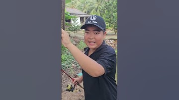 Câu chẻm vô tình dính cá lóc #2lăcmiêntây