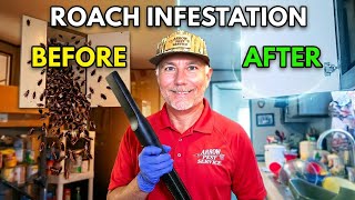 Do German Roach Treatments Actually Work? Before After Results.