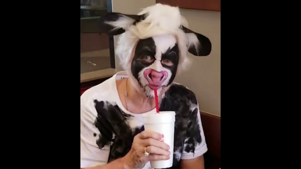 THIS COW SAYS EAT MORE CHICKEN AT CHICK FIL A 🐔🍔 YouTube