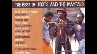 Video thumbnail of "The Toots & The Maytals - I Shall be Free"