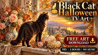 Black Cat Halloween TV Art 🎃 | Free Art Image Download | HD 2 Hours | No Music screenshot 4