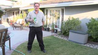 Home & Lawn Pest Control : How to Get Rid of Moles in Your Lawn.
