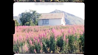 spellling - turning wheel (tradução)