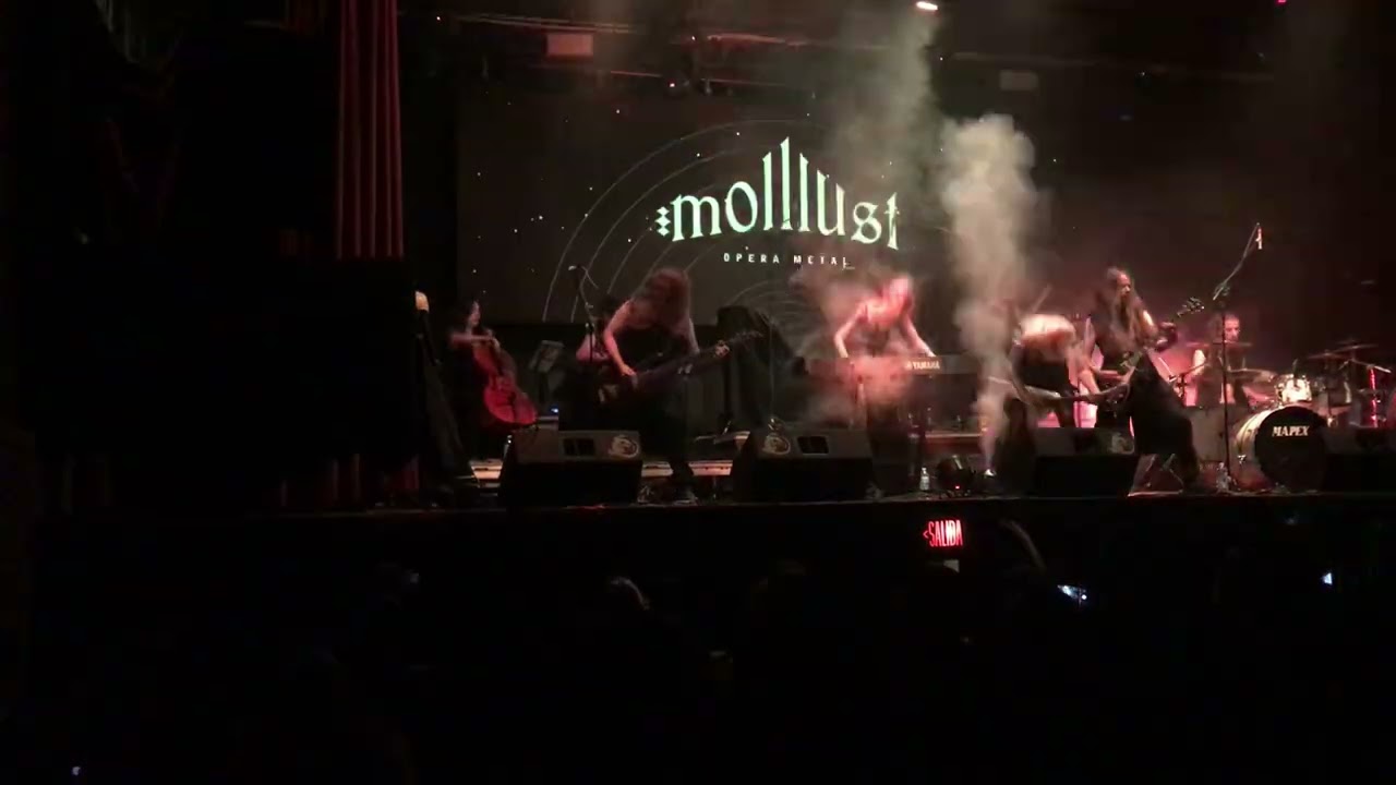 Molllust, Monterrey, Cafe iguana 2024