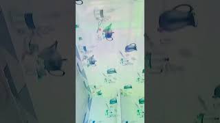 tile designer tile marble design #viral shots#video #Hindi song