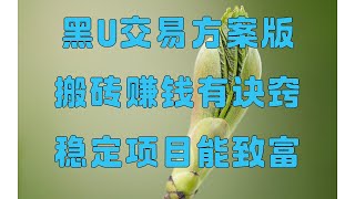 实测有效(网络赚钱项目测试)网赚方法2025,黑u出金,测试赚钱,黑产手机如何通过黑u赚钱项目,适合小白操作的 网赚(绝对真实的网赚项目)大飞工作室低价黑U平台