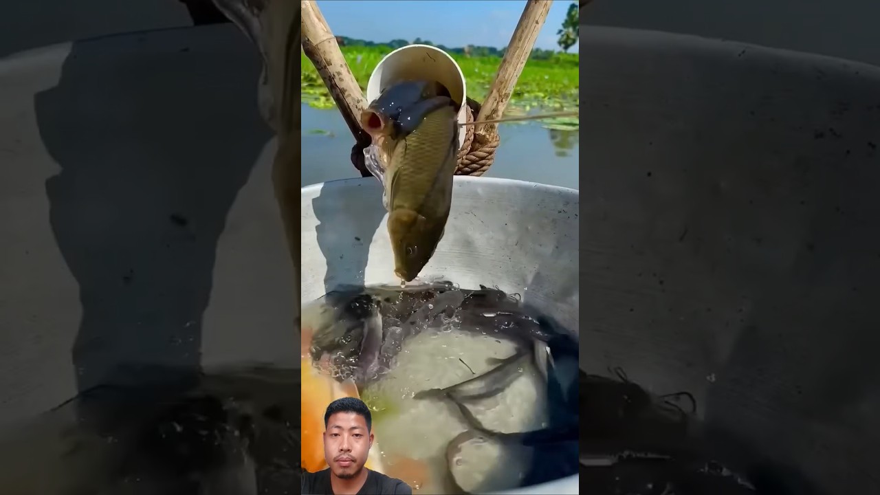 wow 😲 Really amazing Plastic pipe fishing trap 😱 