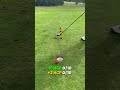 Who will win? #golf