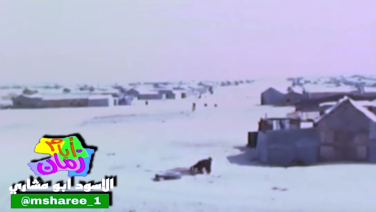 العشيش الجهراء والشعبيات الجديد سنة ١٩٧٧في حساب أيام زمان في انستقرام msharee_1@