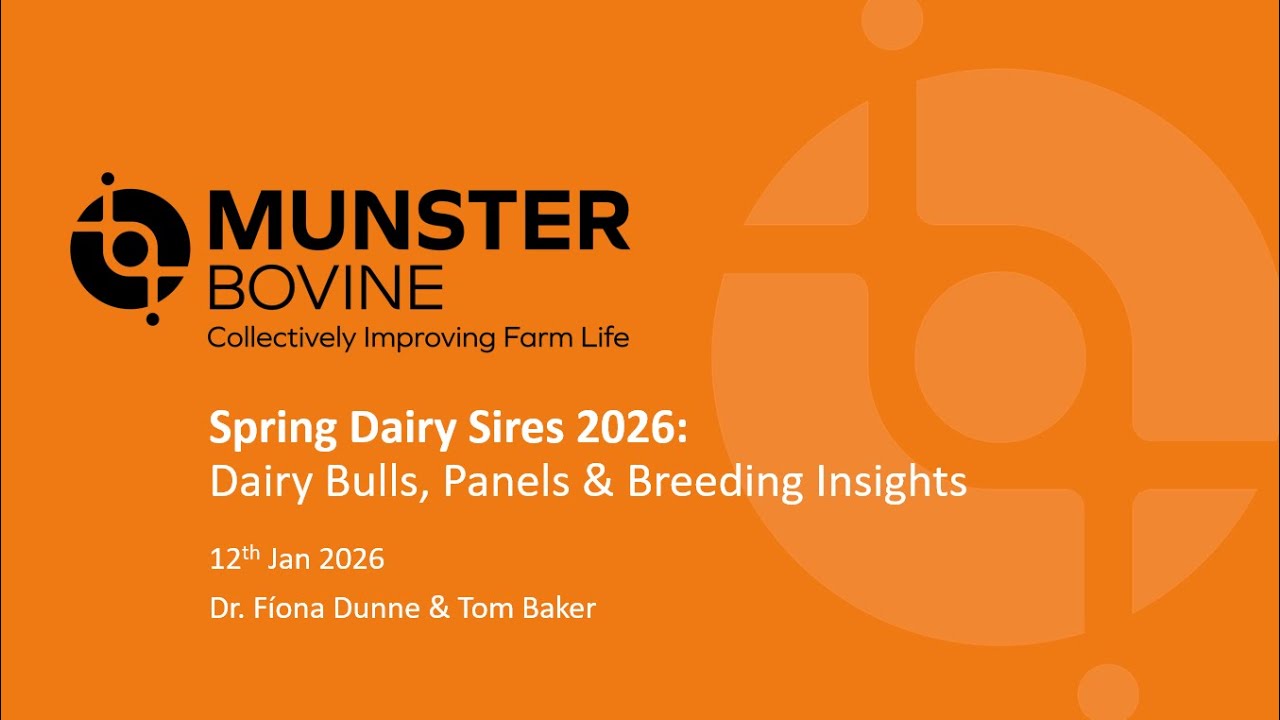 Spring Dairy Sires 2026: ​Dairy Bulls, Panels & Breeding Insights
