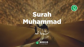 Surah Muhammad سورة محمد - Yuli Maulidiyah Murottal Al Quran Merdu