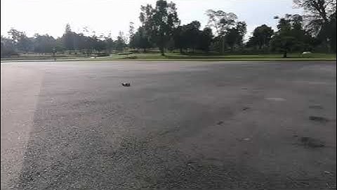 Wltoys 144001 test by original motor, esc and servo