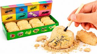 Dig & Discover Insects! 🐝🪨 Bugs & Surprises
