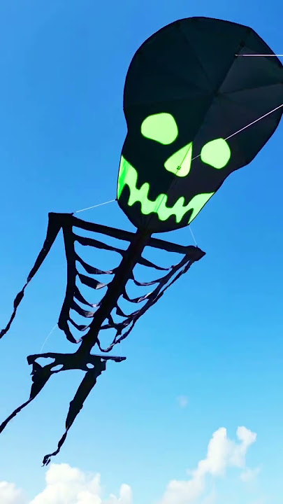 The Skeleton Kite ☠️🪁