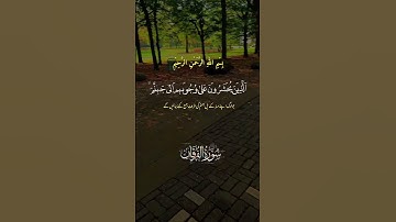 تلاوة عطرة لآيات من كتاب الله #القرآن_الكريم #الله #foryou #اكسبلور #المصحف #coran #fyp#