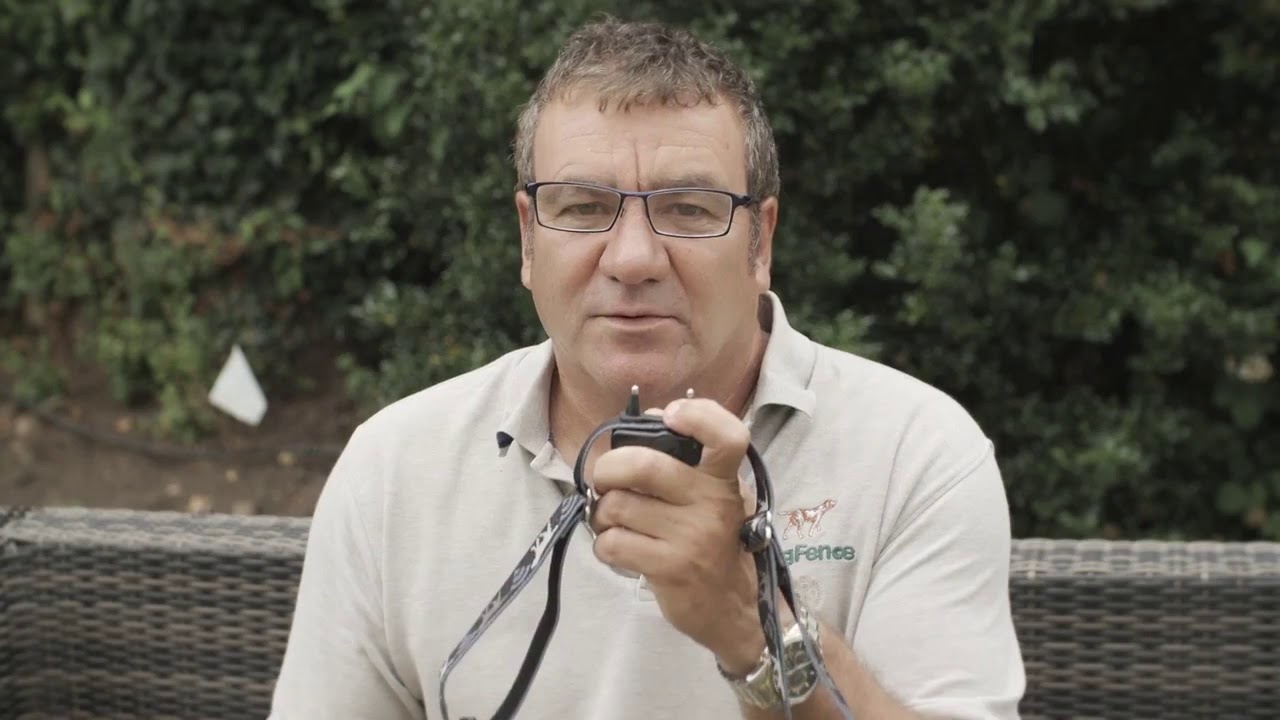 How Does a Hidden Dog Fence Work?