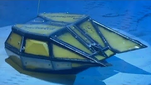 Dantomkia - Series Ex2 All Fights - Robot Wars - 2003