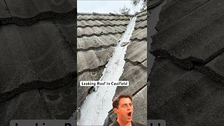 Fixing Roof Leak In Caulfield North | HolyMess Repairs #roofleaks #roofrepair