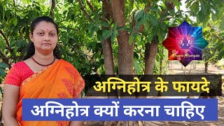 अग्निहोत्र के फायदे / अग्निहोत्र क्यों करना चाहिए / agnihotra ke fayde /agnihotra kyu karana chahiye