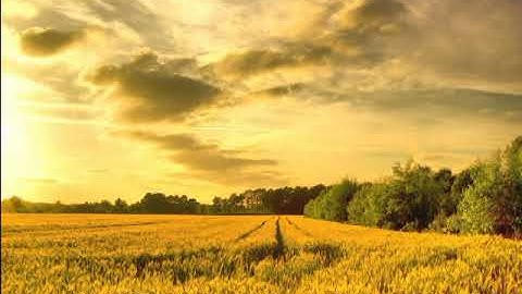 (۞ وَلَقَدْ آتَيْنَا دَاوُودَ مِنَّا فَضْلًا ۖ) تلاوة ستأخذك لعالم آخر ~هدوء غير طبيعي~ علاء الخليدي