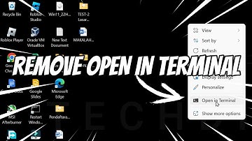 Remove Open in Terminal from Context Menu Windows 11