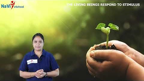 Navi eSchool | Karnataka State | 5th Standard EVS | Lesson 5 "Natural Resources" [Part 3]